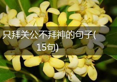 只拜关公不拜神的句子(15句)