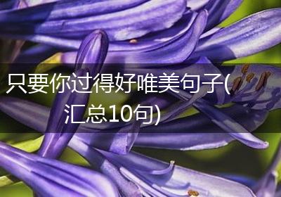 只要你过得好唯美句子(汇总10句)