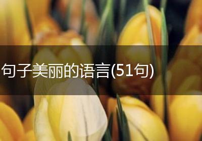 句子美丽的语言(51句)