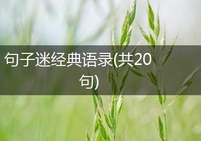 句子迷经典语录(共20句)
