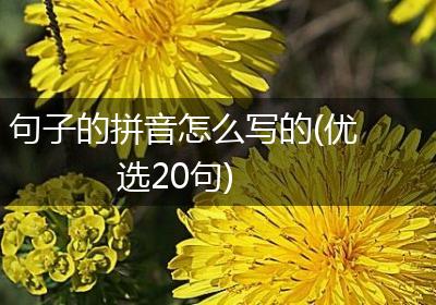 句子的拼音怎么写的(优选20句)