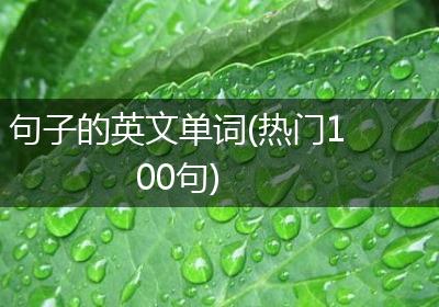 句子的英文单词(热门100句)