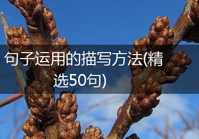 句子运用的描写方法(精选50句)