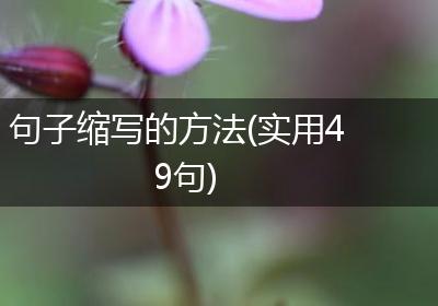 句子缩写的方法(实用49句)
