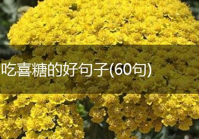 吃喜糖的好句子(60句)
