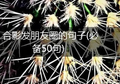 合影发朋友圈的句子(必备50句)