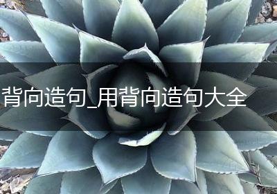 背向造句_用背向造句大全