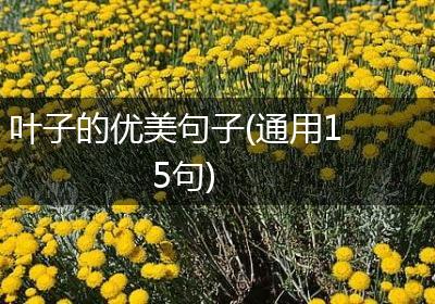 叶子的优美句子(通用15句)