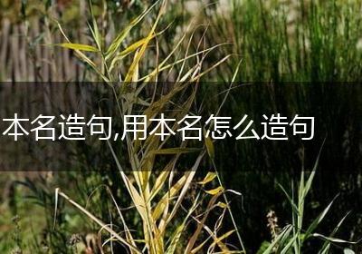 本名造句,用本名怎么造句