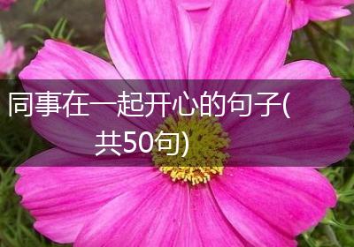 同事在一起开心的句子(共50句)