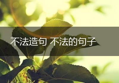 不法造句 不法的句子