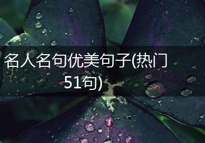 名人名句优美句子(热门51句)
