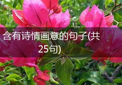 含有诗情画意的句子(共25句)