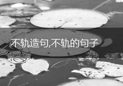 不轨造句,不轨的句子