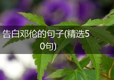 告白邓伦的句子(精选50句)