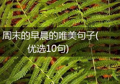 周末的早晨的唯美句子(优选10句)