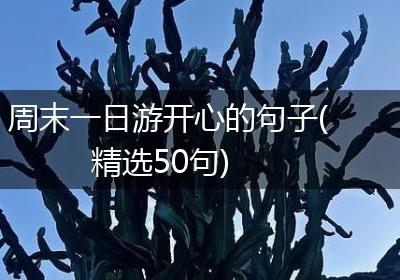 周末一日游开心的句子(精选50句)