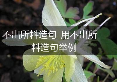 不出所料造句_用不出所料造句举例