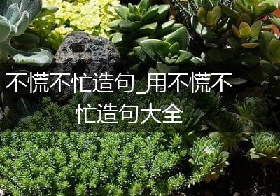 不慌不忙造句_用不慌不忙造句大全
