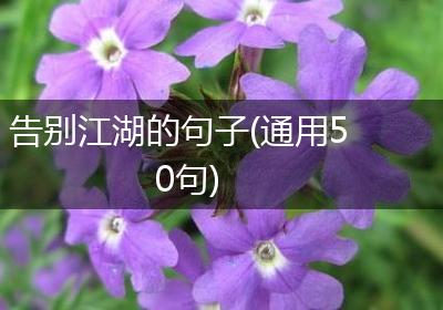 告别江湖的句子(通用50句)