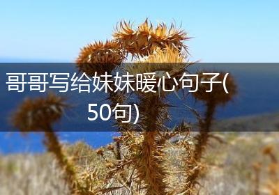 哥哥写给妹妹暖心句子(50句)