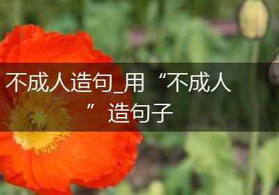 不成人造句_用“不成人”造句子