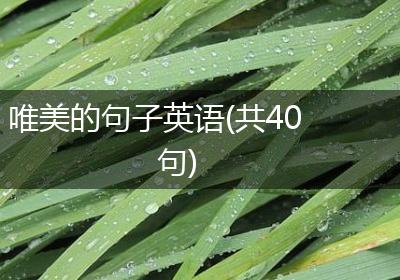 唯美的句子英语(共40句)