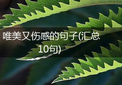 唯美又伤感的句子(汇总10句)