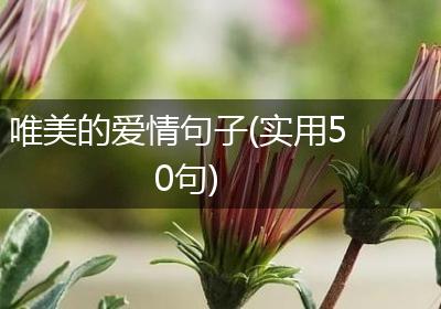 唯美的爱情句子(实用50句)