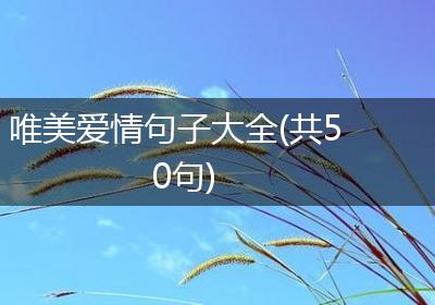 唯美爱情句子大全(共50句)