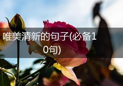 唯美清新的句子(必备10句)