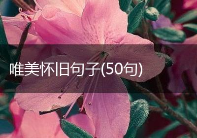 唯美怀旧句子(50句)