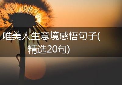 唯美人生意境感悟句子(精选20句)
