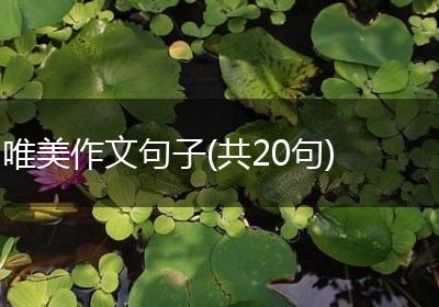 唯美作文句子(共20句)