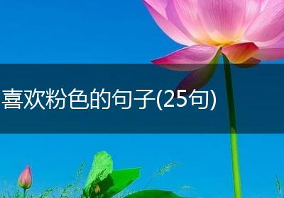 喜欢粉色的句子(25句)