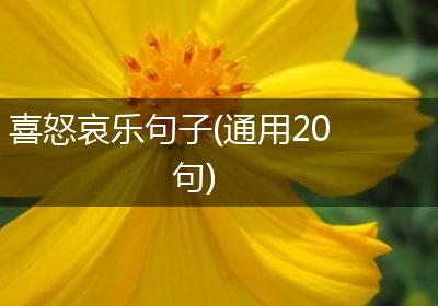 喜怒哀乐句子(通用20句)