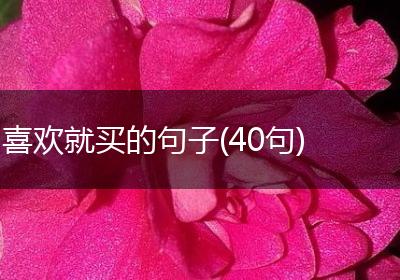 喜欢就买的句子(40句)