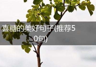 喜糖的美好句子(推荐50句)