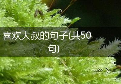 喜欢大叔的句子(共50句)