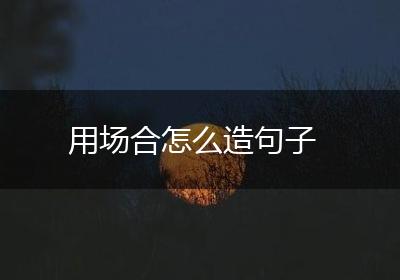 用场合怎么造句子