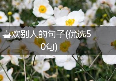 喜欢别人的句子(优选50句)