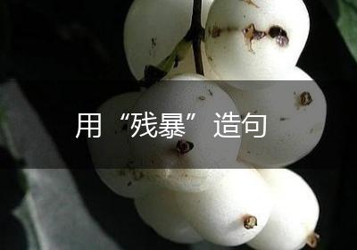 用“残暴”造句