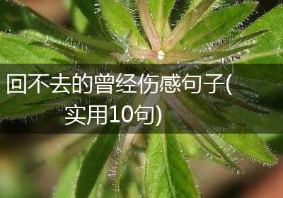 回不去的曾经伤感句子(实用10句)
