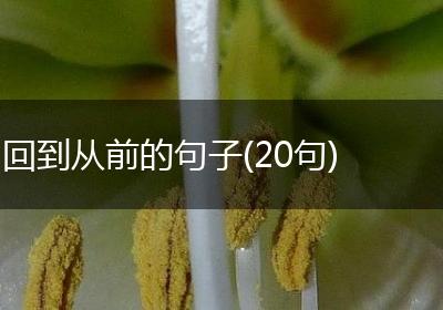 回到从前的句子(20句)