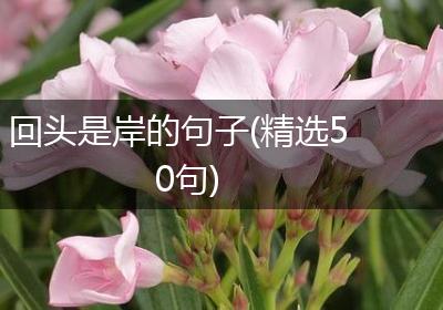 回头是岸的句子(精选50句)