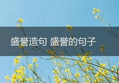 盛誉造句 盛誉的句子
