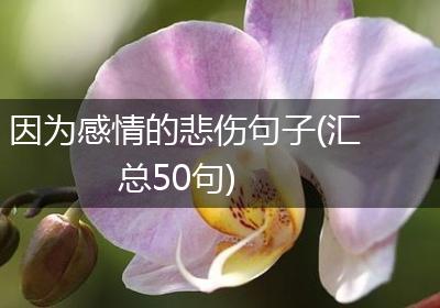 因为感情的悲伤句子(汇总50句)