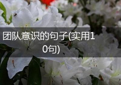 团队意识的句子(实用10句)