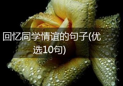 回忆同学情谊的句子(优选10句)
