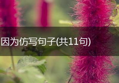 因为仿写句子(共11句)